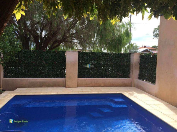 Photinia Artificial Hedge Panel 1m x 1m – SGS UV Resistant — gallery image 15
