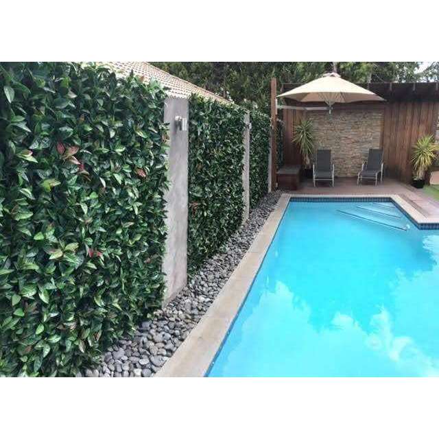 Photinia Artificial Hedge Panel 1m x 1m – SGS UV Resistant — gallery image