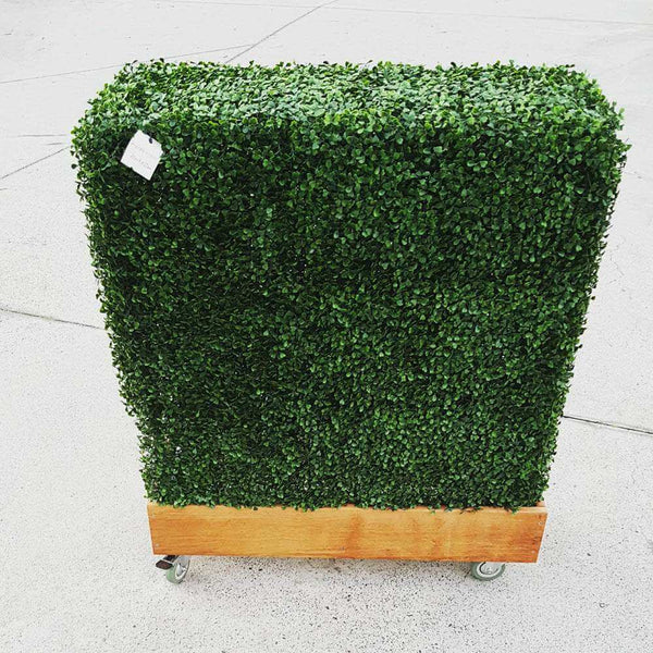 Portable Boxwood Hedge 75cm x 75cm - UVTEX Certified UV Resistant — gallery image 11