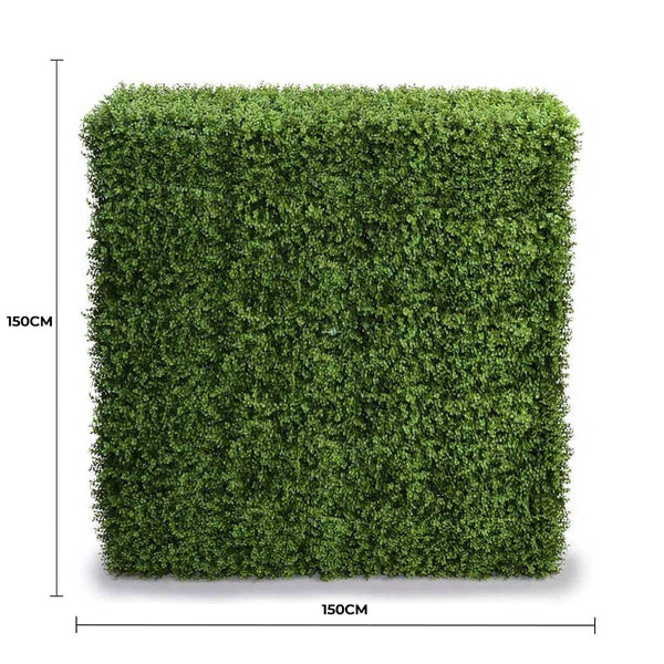 Portable Pittosporum Hedge 1.5m x 1.5m - UVTEX Certified UV Resistant — gallery image 5