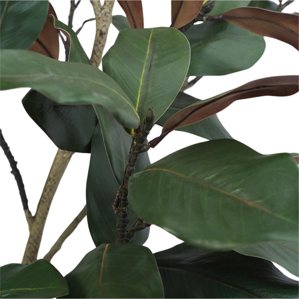 Potted Artificial 180cm Magnolia Tree — gallery image 3
