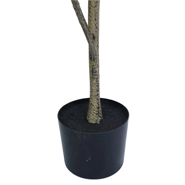 Potted Artificial 180cm Magnolia Tree — gallery image 4