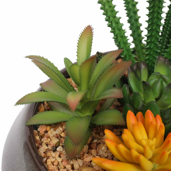 Potted Artificial Succulents with Round Decorative Bowl 19cm — gallery image 6