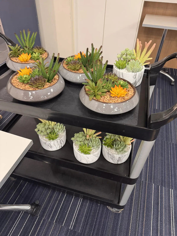 Potted Artificial Succulents with Round Decorative Bowl 19cm — gallery image 9