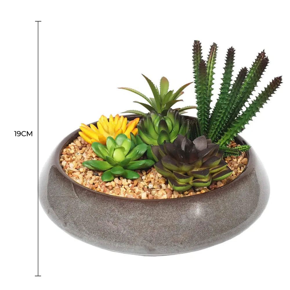 Potted Artificial Succulents with Round Decorative Bowl 19cm — gallery image