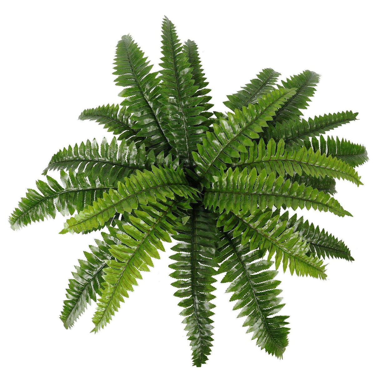 Potted Natural Green Artificial Boston Fern (50cm high 70cm wide) — gallery image