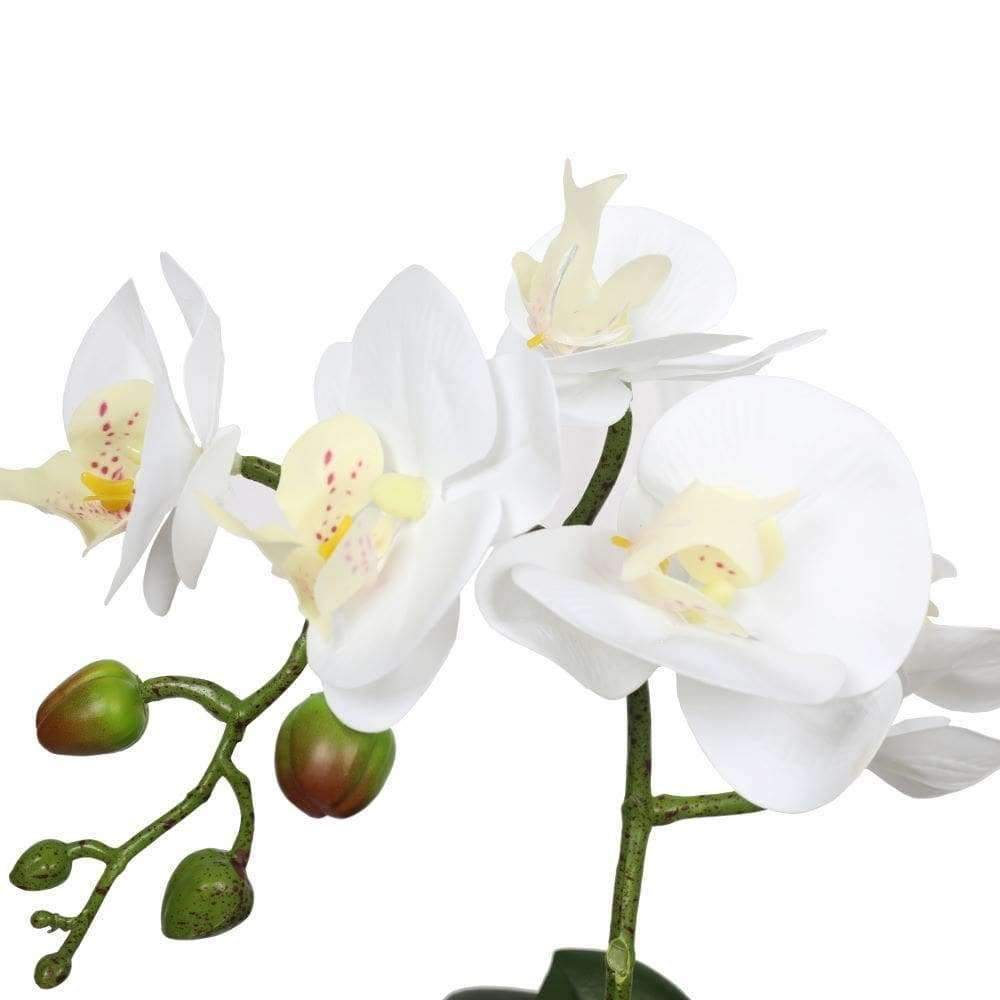 Potted Single Stem White Phalaenopsis Orchid with Decorative Pot 35cm — gallery image