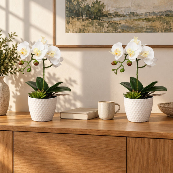 Potted Single Stem White Phalaenopsis Orchid with Decorative Pot 35cm — gallery image 9