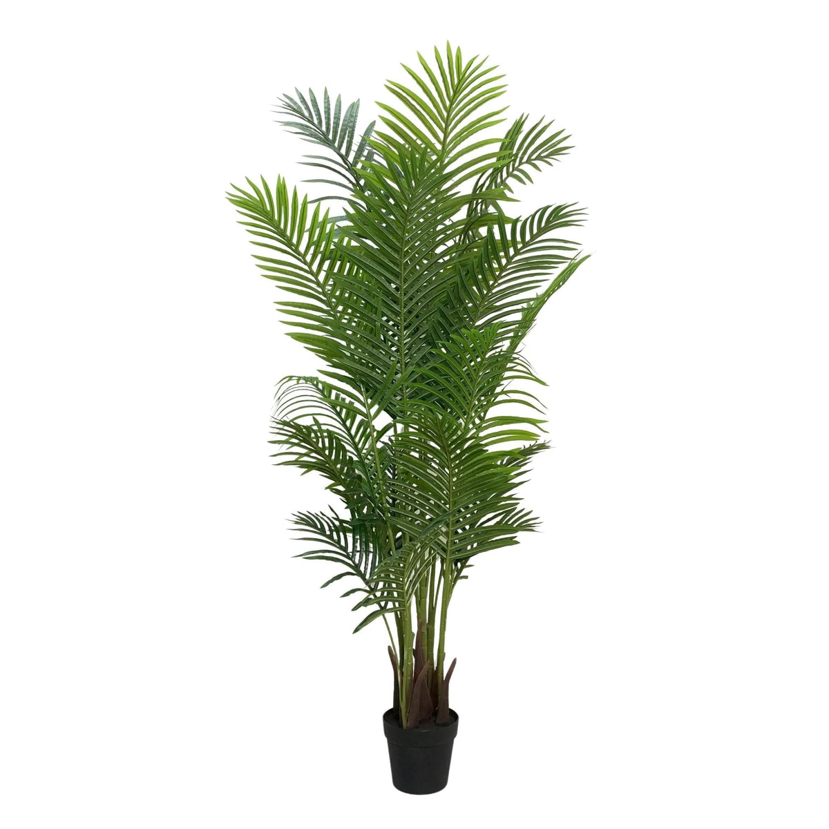 Premium Artificial Areca Palm Tree Real Touch 160cm — gallery image