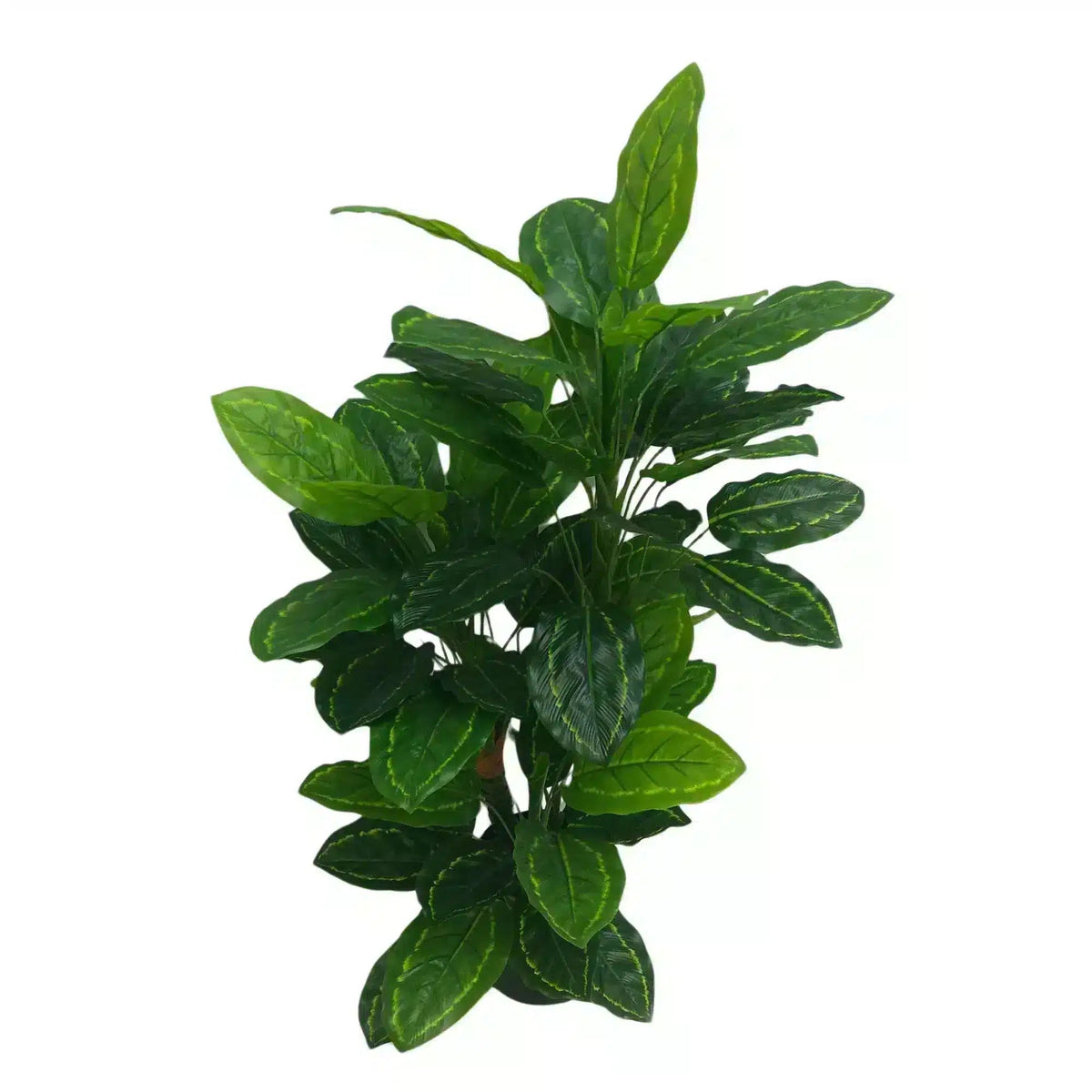 Premium Artificial Cordyline Fructicosa Green / Ti Plant 90cm — gallery image