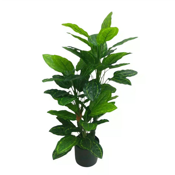 Premium Artificial Cordyline Fructicosa Green / Ti Plant 90cm — gallery image 5