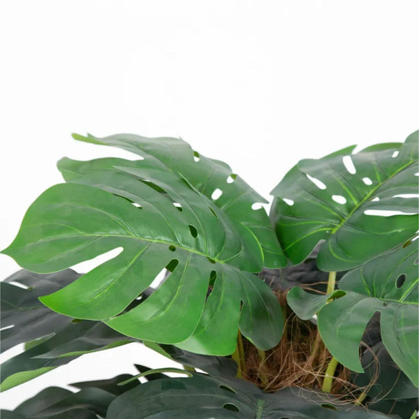 Premium Artificial Monstera Deliciosa Tree 100cm — gallery image 5