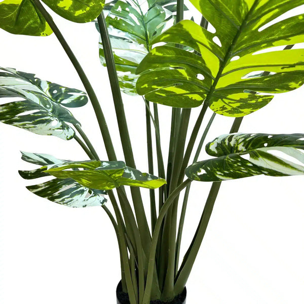 Premium Artificial Potted Monstera Albo 150cm — gallery image 15