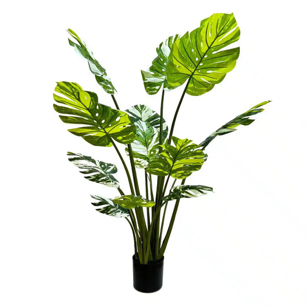 Premium Artificial Potted Monstera Albo 150cm — gallery image 7