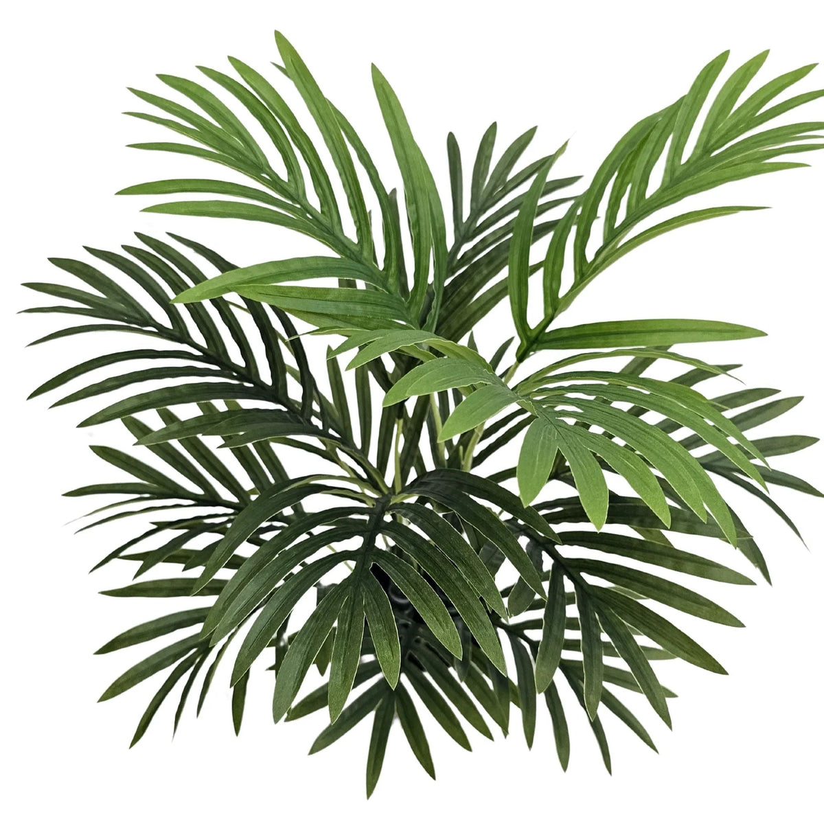 Premium Artificial Potted Premium Mini Palm Tree 55cm — gallery image