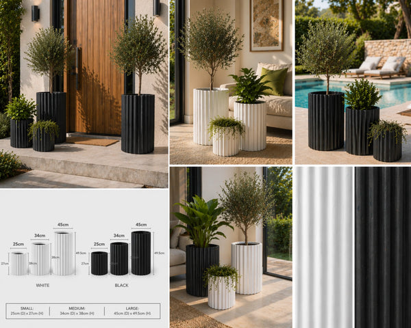 Set of 3 Luxury Rounded Ribbed Planter| Premium Pot Range | Black or White — gallery image 13