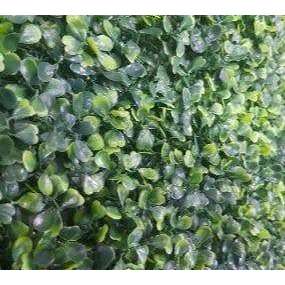 Sample Mixed Boxwood Artificial Vertical Garden (25cm x 25cm) — gallery image