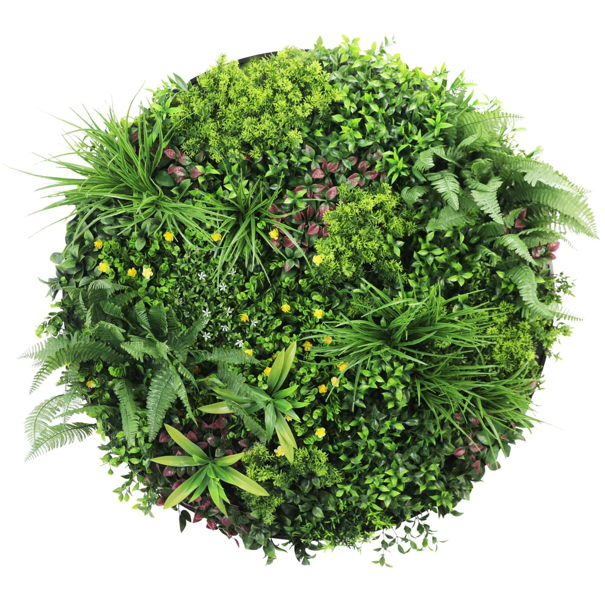 Slimline Artificial Green Wall Disc Art 100cm Country Fern UV Resistant (Black) — gallery image