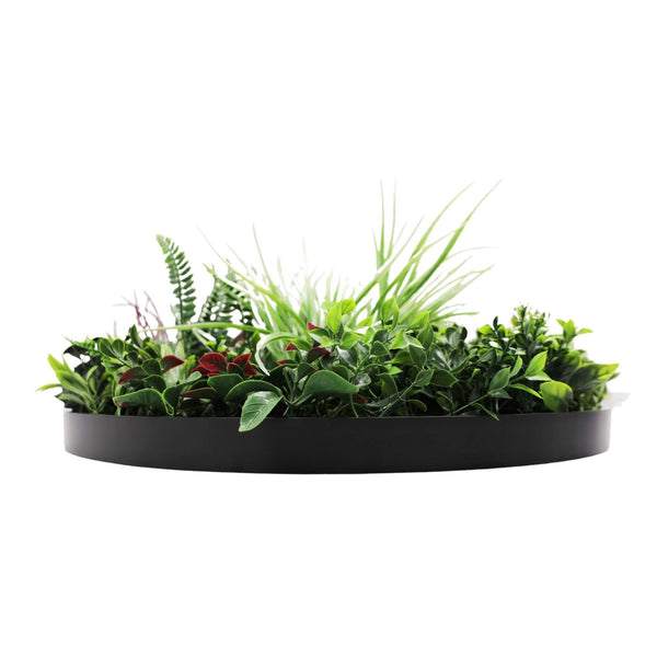 Slimline Artificial Green Wall Disc Art 60cm Colour Fresh UV Resistant (Black) — gallery image 5