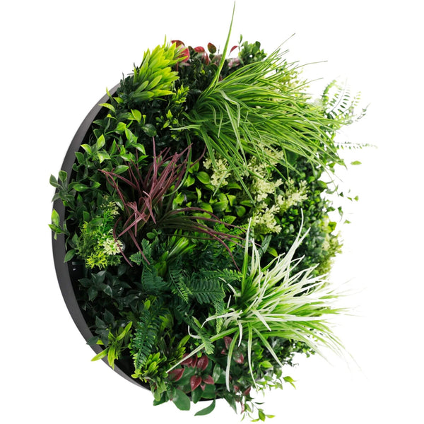 Slimline Artificial Green Wall Disc Art 60cm Colour Fresh UV Resistant (Black) — gallery image 4