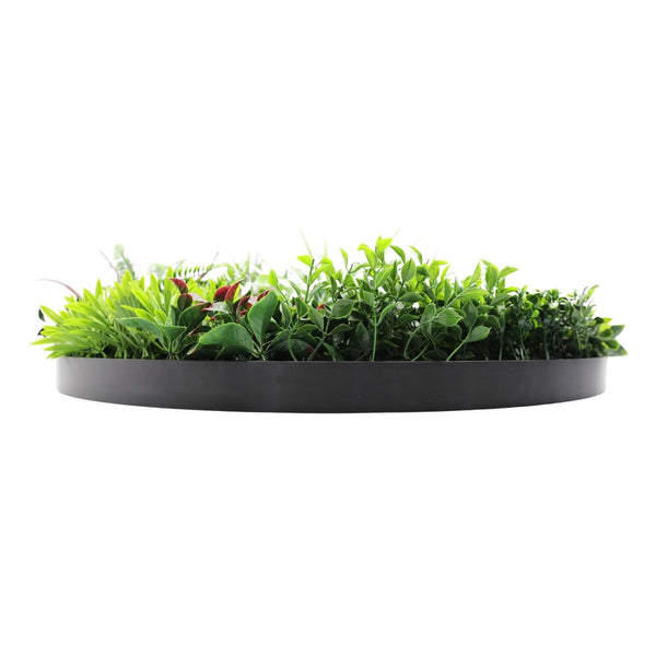 Slimline Artificial Green Wall Disc Art 80cm Colour Fresh UV Resistant (Black) — gallery image 6