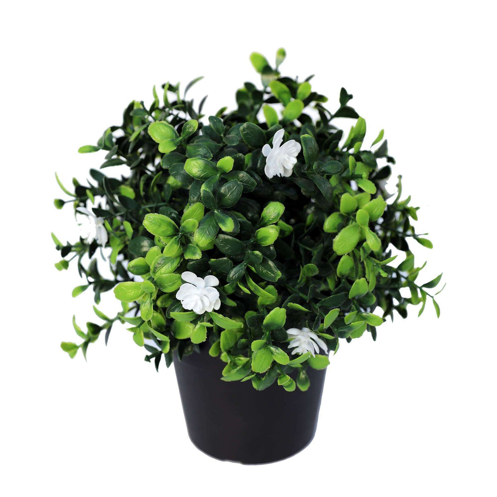 Small Potted Artificial Flowering Boxwood Plant UV Resistant 20cm — UV resistant artificial plant
