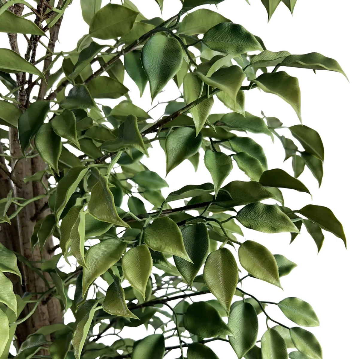 Artificial Ficus Tree 180cm - UV Resistant Premium Indoor/Outdoor Plant — gallery image