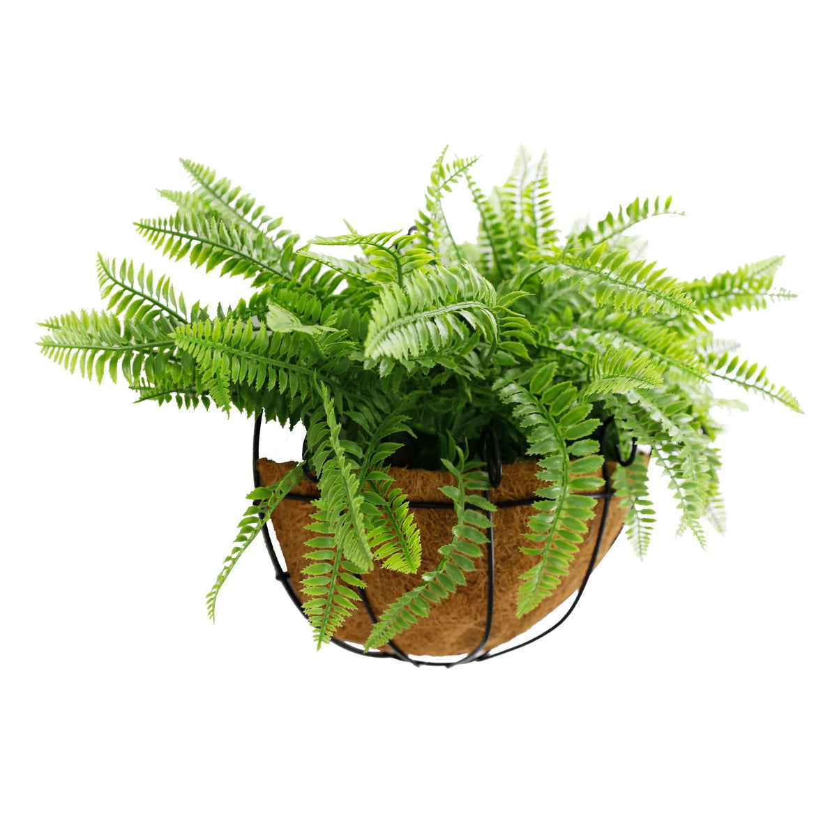 Wall-Mounted Hanging Fern Basket – UV Resistant (30cm x 40cm) — gallery image