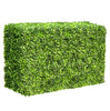 Mixed English Boxwood Artificial Hedge UV Resistant 1m long x 50cm - Designer Vertical Gardens artificial garden wall plants artificial green wall australia