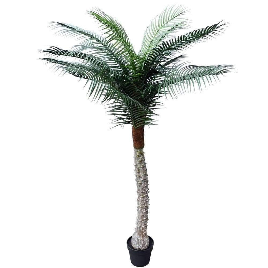 Artificial Palm Tree Tropical Phoenix Palm 190cm UV Resistant — UV resistant artificial plant by Designer Vertical Gardens