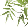 Premium Natural Cane Artificial Bamboo (UV Resistant) 180cm - Designer Vertical Gardens Artificial Trees bamboos