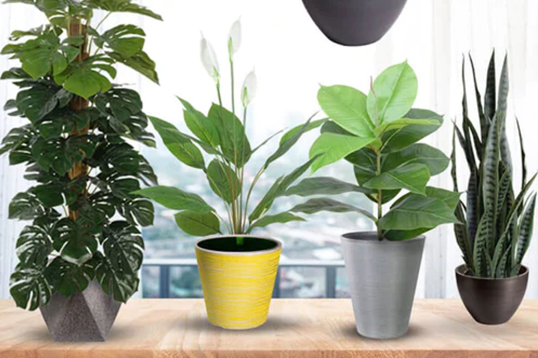 15 Trendy Plant Pots for a Lively Workplace and Tips to Style Them - Designer Vertical Gardens