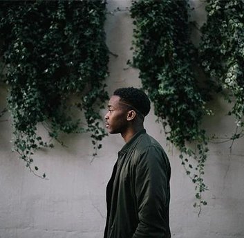 5 Types Of Wall Hanging Plants That Are Suitable For Your Home Decoration - Designer Vertical Gardens