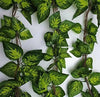 Artificial Ivy: 11 Amazing Ways You Should Decorate Your Home or Garden - Designer Vertical Gardens
