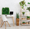Best Artificial Plants For Your Workplace - Designer Vertical Gardens