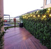 Create a Custom Artificial Green Wall - Designer Vertical Gardens
