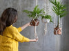 Decorate Your Living Room with Artificial Hanging Plants: A Step by Step Guide - Designer Vertical Gardens