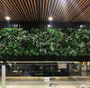 How Artificial Green Walls Can Enhance Your Workspace? - Designer Vertical Gardens