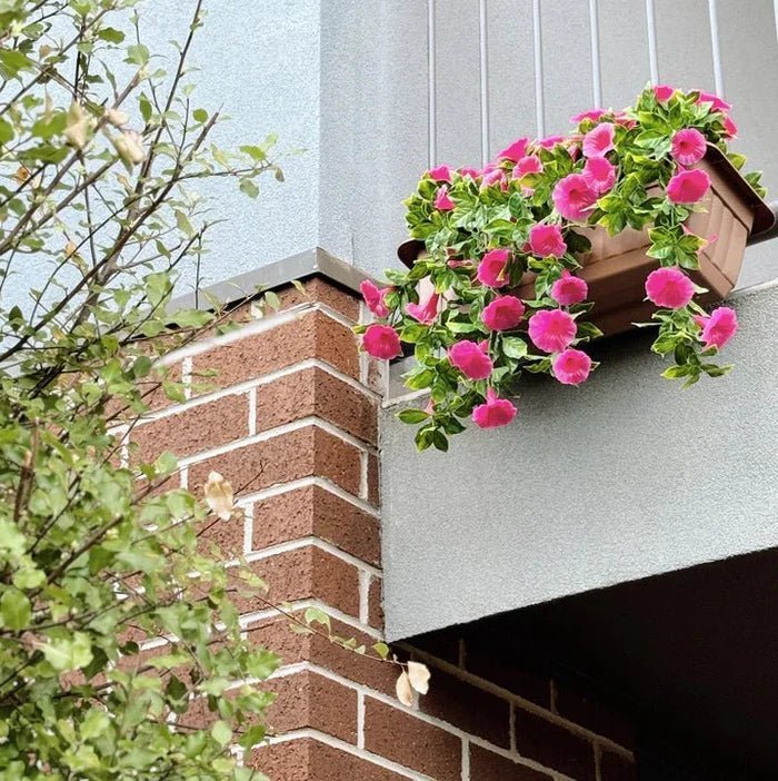 How Hanging Plant Pots Can Solve Common Indoor Gardening Challenges - Designer Vertical Gardens