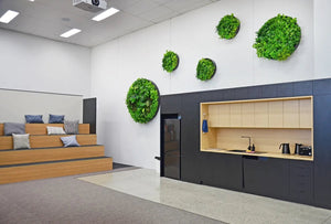 How Real Estate Agents in Australia Use Green Walls for High-Impact Listings