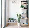 Learn the Top 7 Ways to Create A Relaxing Environment - Designer Vertical Gardens
