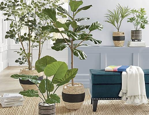 indoor potted artificial plants and trees