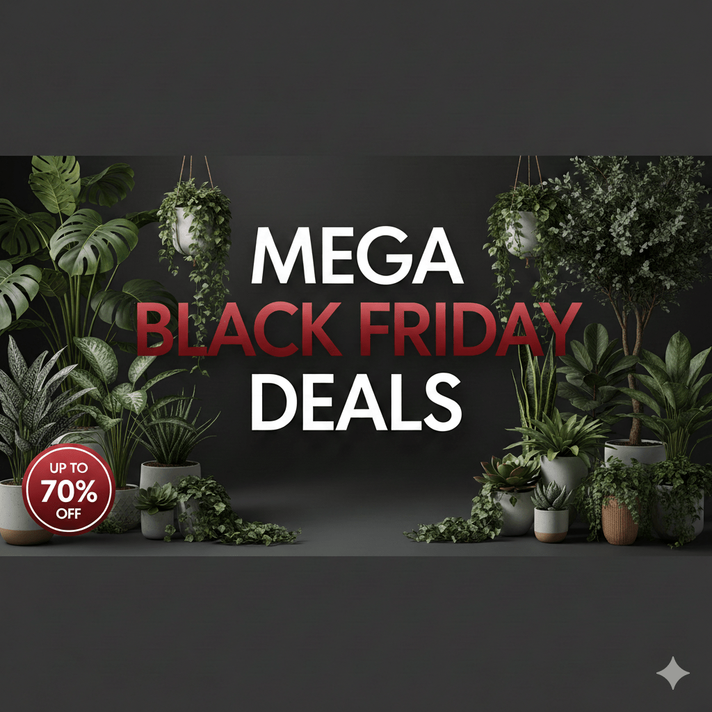 Mega Clearance - Designer Vertical Gardens