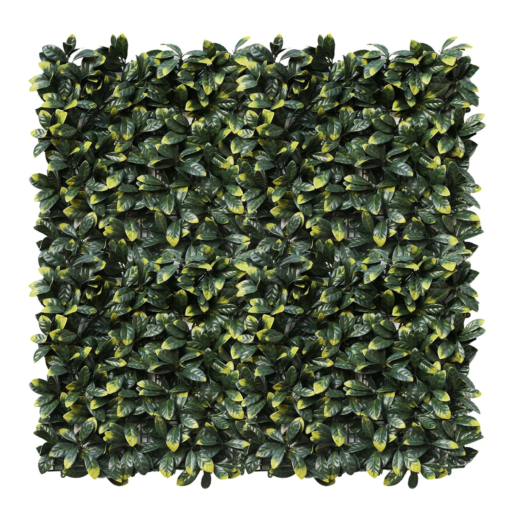 Lemon Leaf Artificial Hedge Panel 1m x 1m – SGS UV Resistant - close-up view