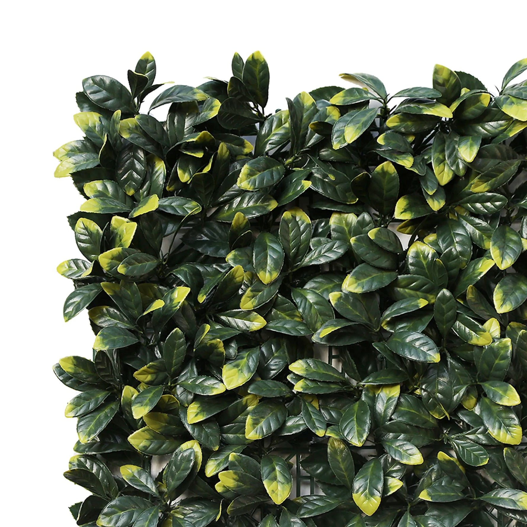 Lemon Leaf Artificial Hedge Panel 1m x 1m – SGS UV Resistant - overhead view