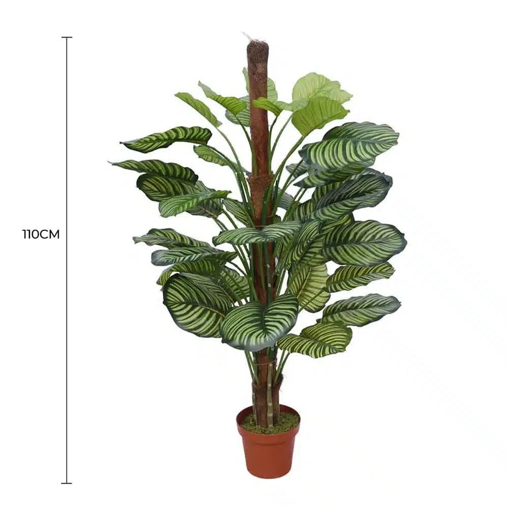 110cm Artificial Calathea Plant in Pot - Premium Lifelike Striped Foliage for Home & Office - Designer Vertical Gardens