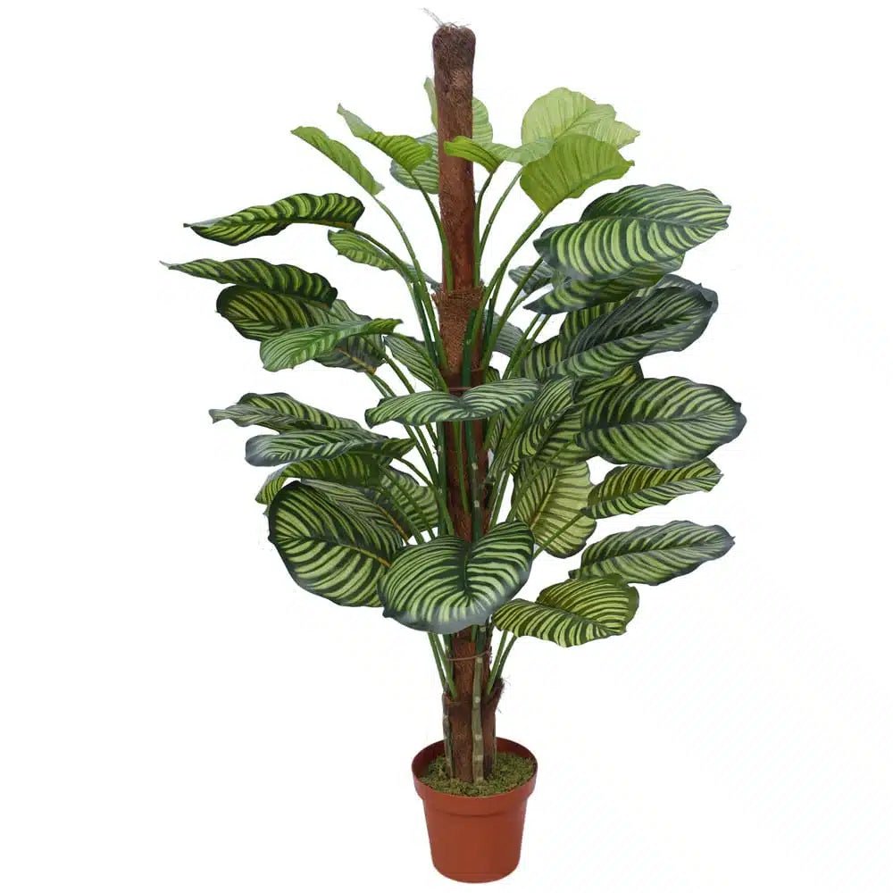 110cm Artificial Calathea Plant in Pot - Premium Lifelike Striped Foliage for Home & Office - Designer Vertical Gardens