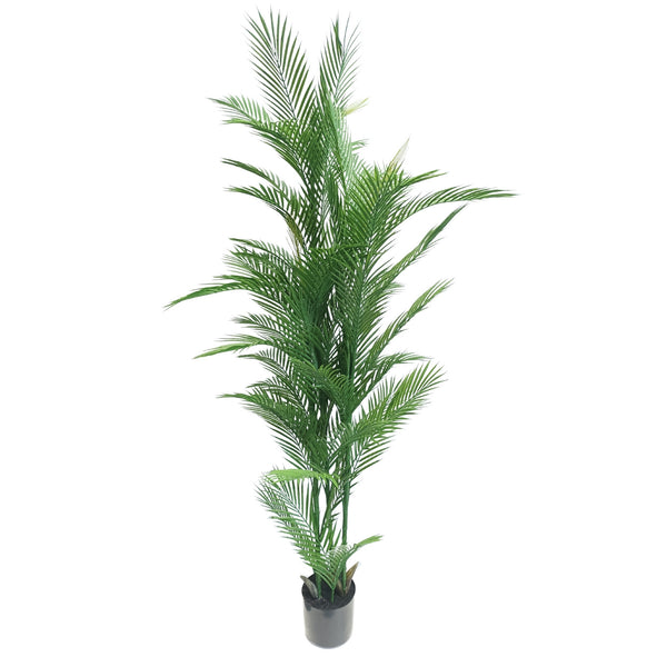 Real Touch Artificial Phoenix Palm Tree UV Resistant 180cm - image 1