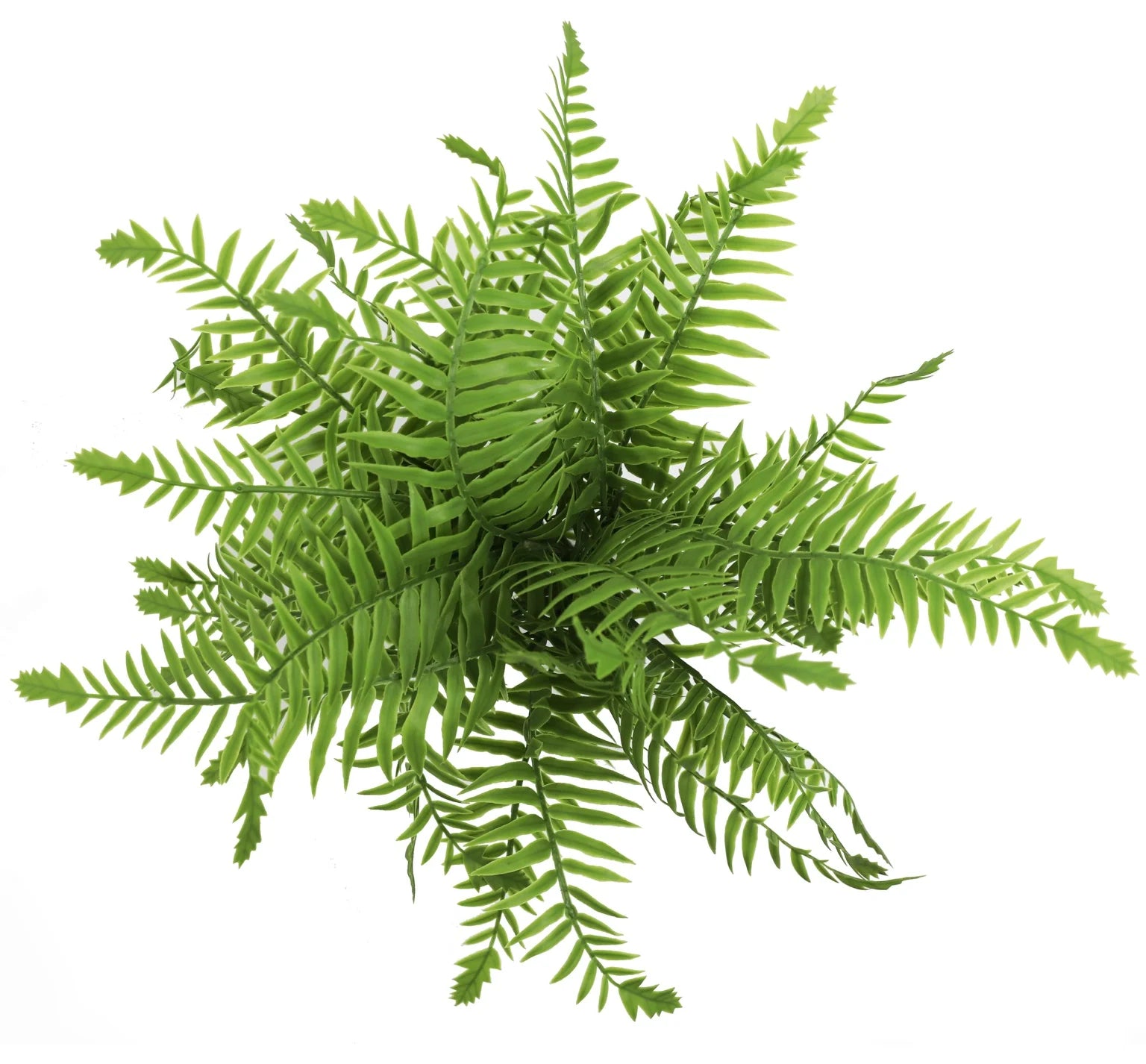 Artificial Fern (Lady Fern) 40cm UV Resistant - lifestyle image