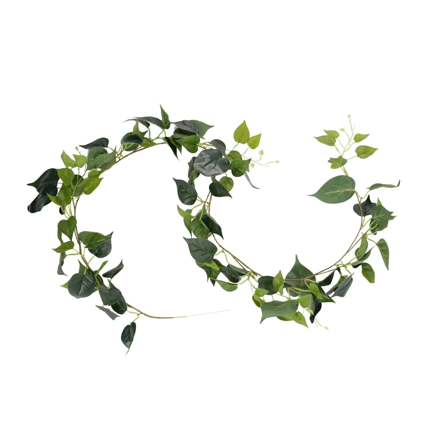 2 Pack - Artificial Money Plant Garland - 190cm - Designer Vertical Gardens artificial garden wall plants artificial green wall sydney